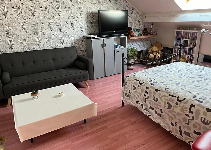 Проживание в семье Aline Robert