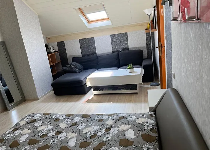 Aline Robert Проживание в семье *