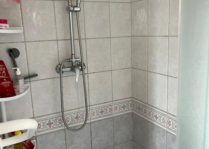 Проживание в семье Aline Robert Saint-Jean-de-Bassel